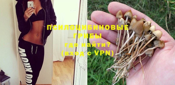 a pvp Нягань