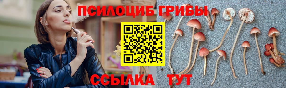 Еманжелинск  Псилоцибиновые грибы MAGIC MUSHROOMS  где найти   Псилоцибиновые грибы Psilocybe  Вход с VPN 